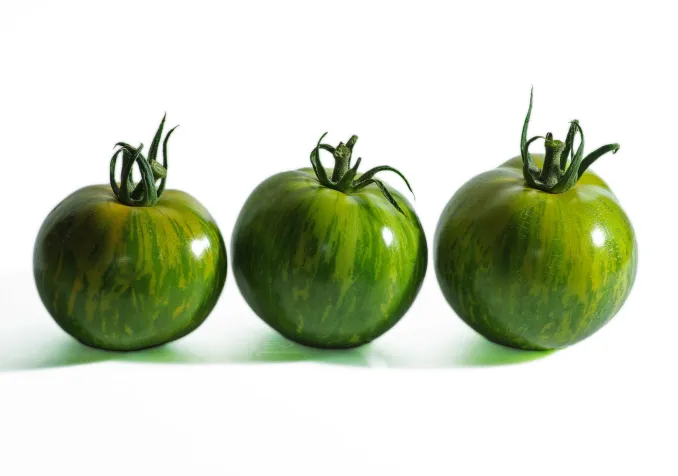 Tomates vertes
