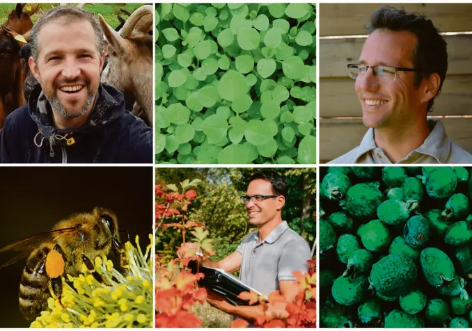 © Association Jardin-Forêt d’Eos