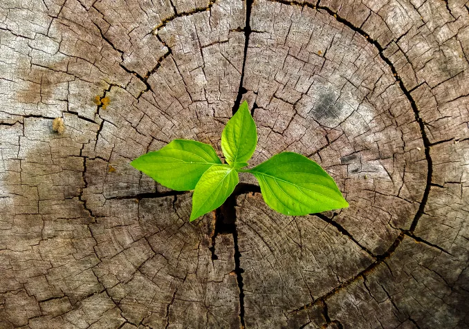Avec Florence Mottier Retraite de Pâques