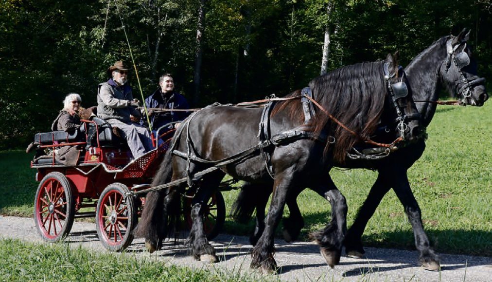 Le diacre en formation Eric Bianchi (à droite à côté du cocher) et quelques paroissiens en tournée d&#039;essai. / © DR