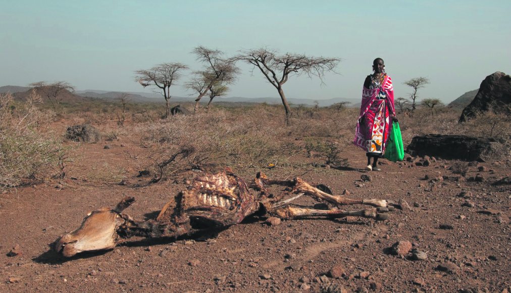 De 2008 à 2014, 184,4 millions de personnes ont dû fuir à cause d&#039;inondations, de tremblements de terre, de tempêtes tropicales ou de sécheresses, soit une personne par seconde. / © DR PPP