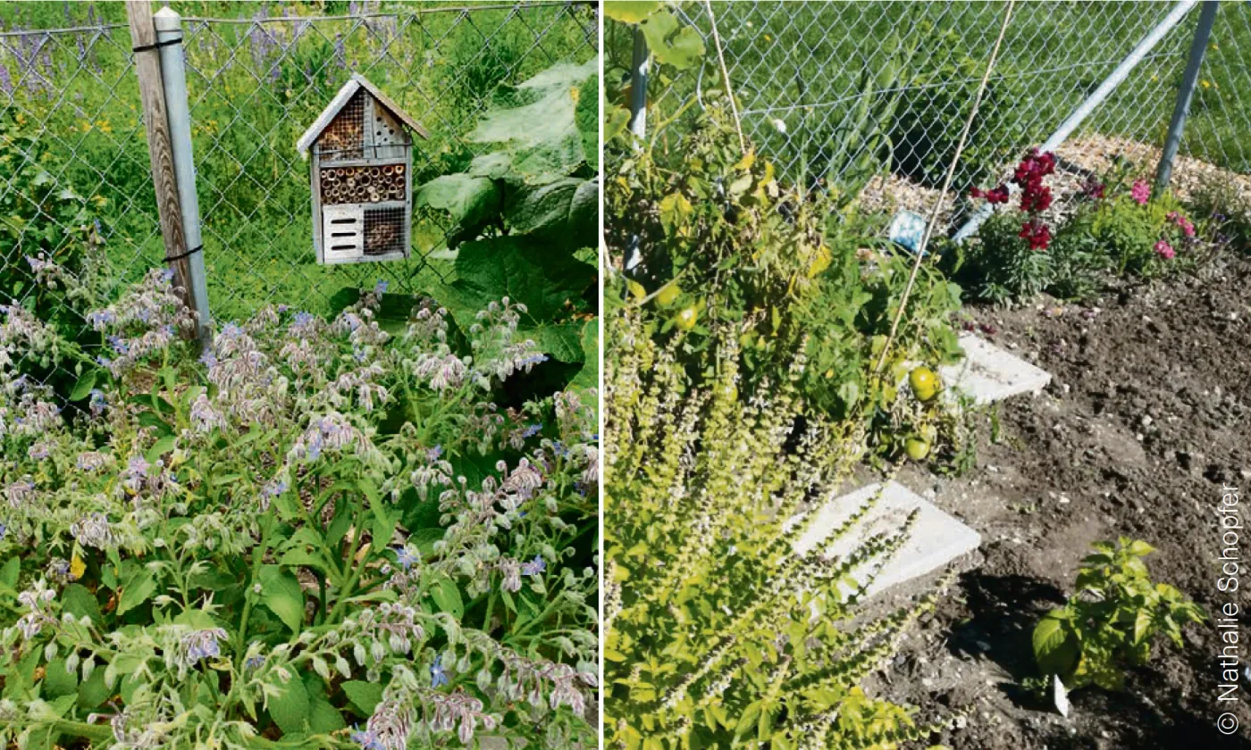 © Nathalie Schopfer