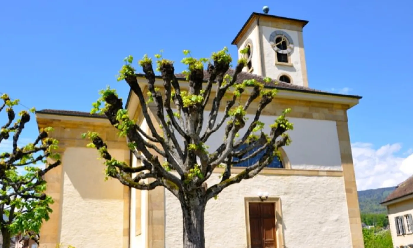 Alexandra Urfer Jungen