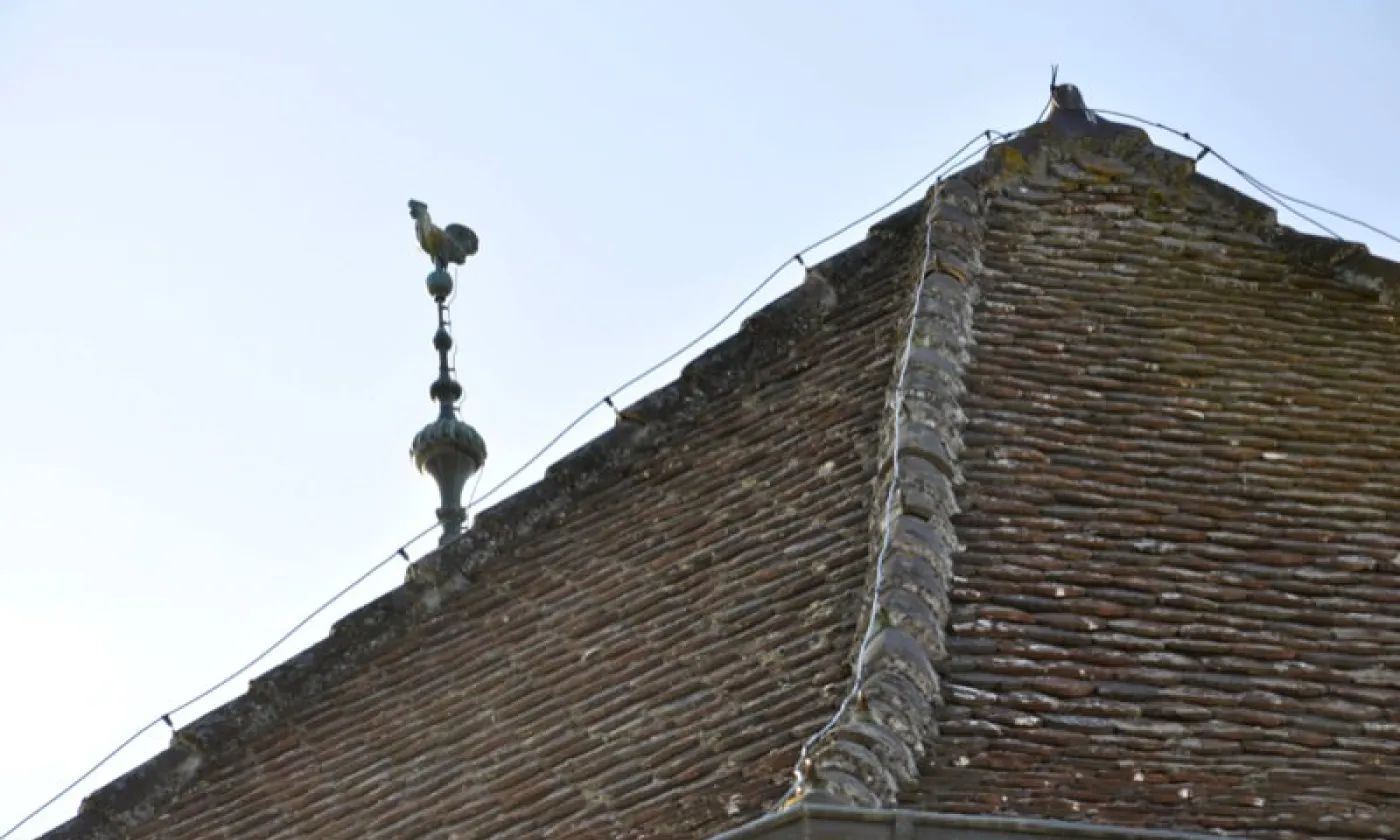 Alexandra Urfer Jungen