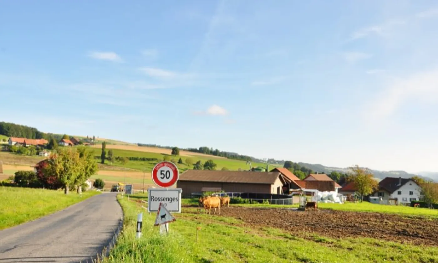 Alexandra Urfer Jungen