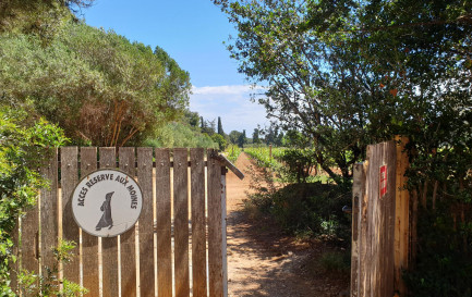 Le jardin du monastère de Lérins / ©Matthias Wirz