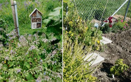 La parcelle du jardin de la paroisse de l’Espace Saint-Luc à Genève. / © Nathalie Schopfer